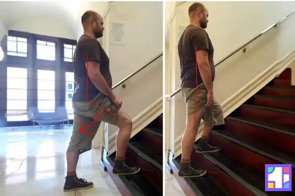 برای استفاده صحیح از پله هرگز به سمت جلو یا عقب خم نشوید.